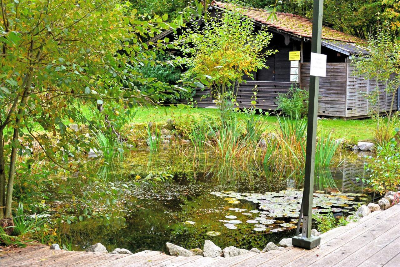 Wildgatter Ferienappartements Grafenwiesen Buitenkant foto